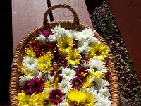 November 24 - 30 Lake House